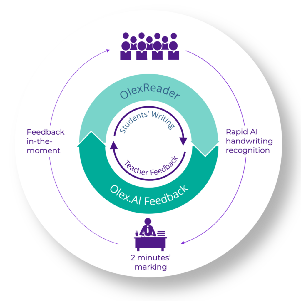 Olex.AI Assessment Primary and Secondary Cycle